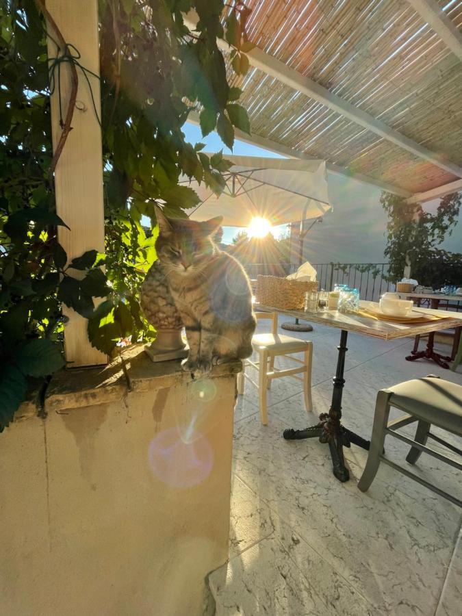 Corte Caiar Bed&Breakfast Caprino Veronese Zewnętrze zdjęcie